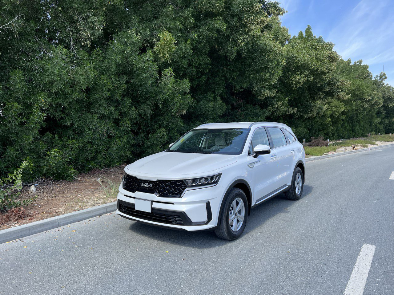 Picture Kia Sorento 